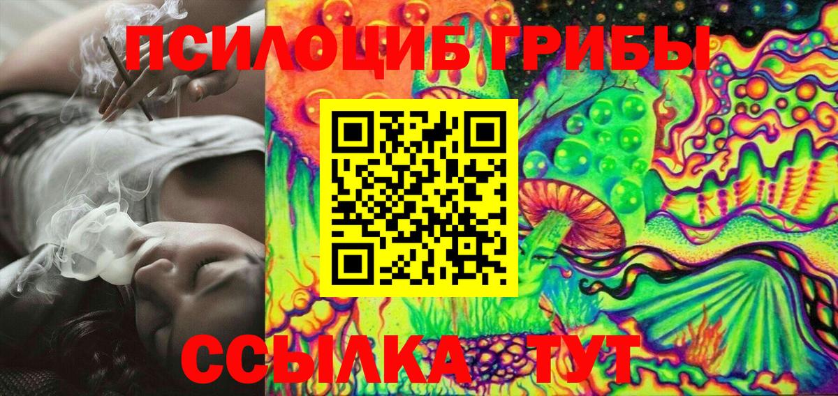 купить наркоту  Галлюциногенные грибы MAGIC MUSHROOMS  Вход с VPN  Корсаков 