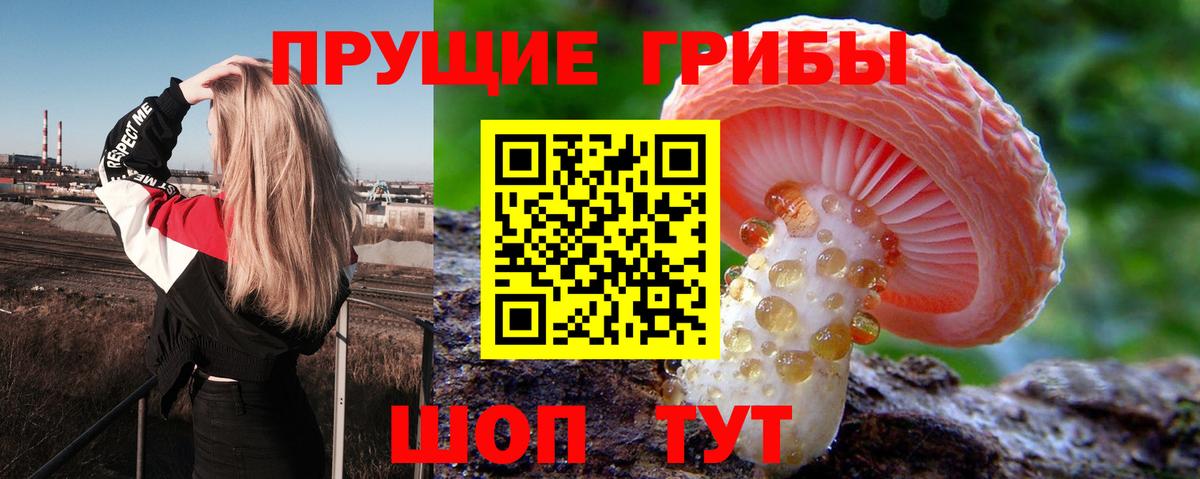Галлюциногенные грибы Cubensis Корсаков