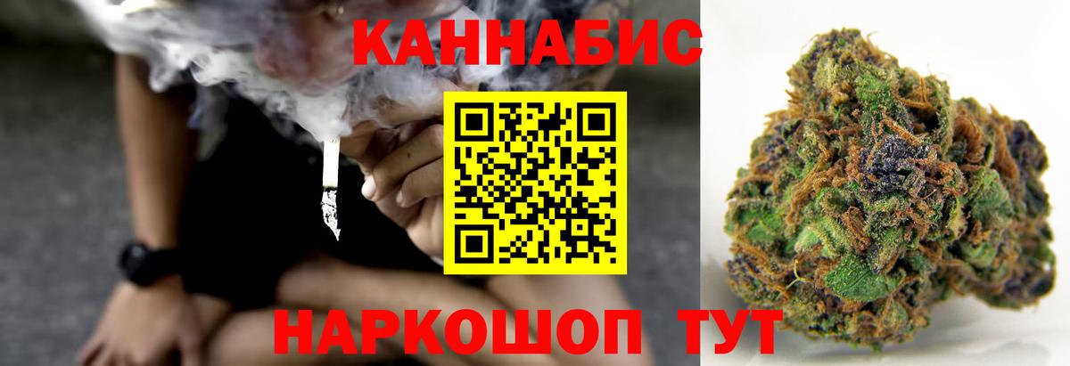 Бошки Шишки VHQ Корсаков